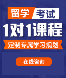 日韩鸡吧操逼留学考试一对一精品课